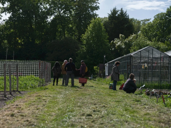People working and gathering in a community garden with greenhouses.